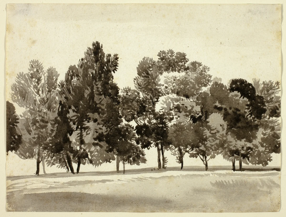Grove of Leafy Trees by Franz Kobell, drawing, 1808-1822