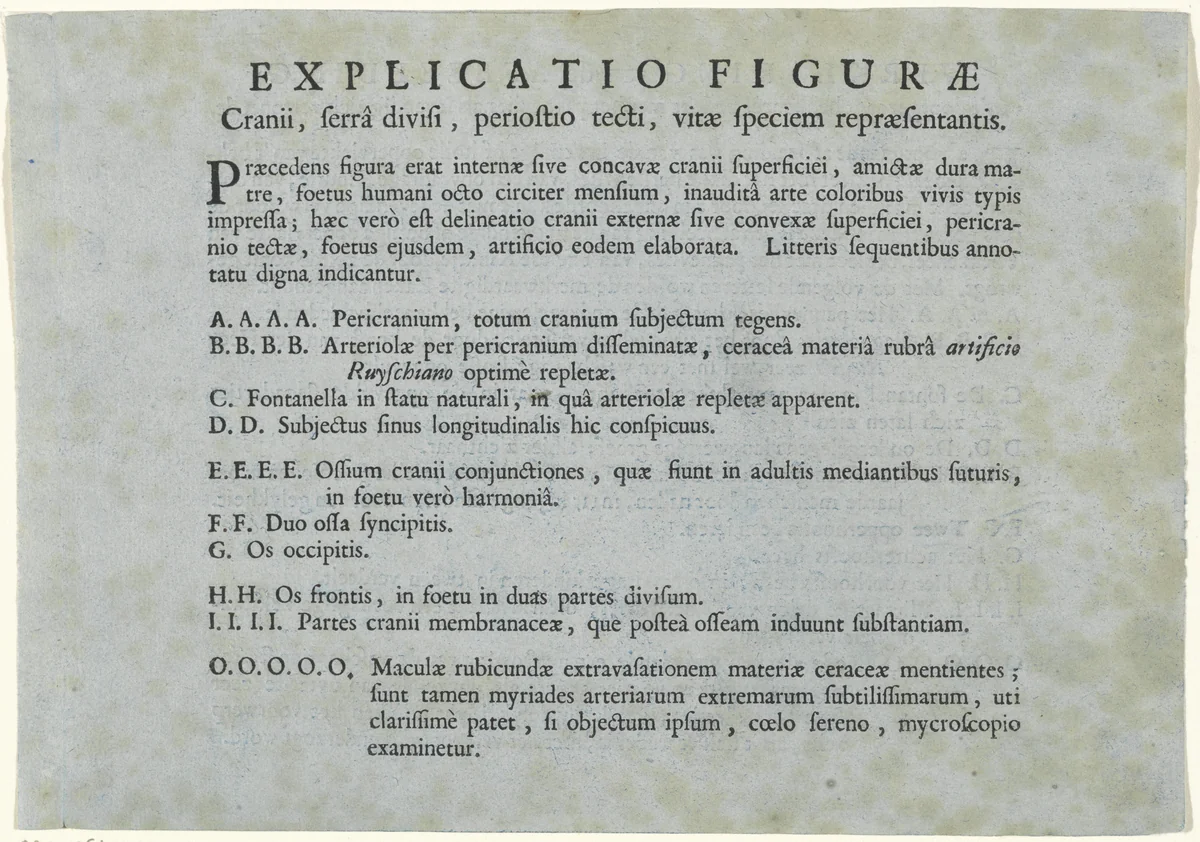 Blad met een verklaring van de anatomische studie van een menselijke schedel door Jan L'Admiral by anonymous, other, 1733-1738