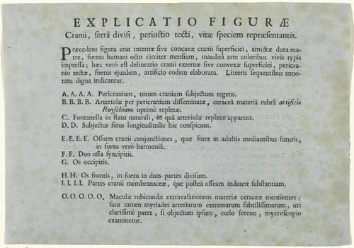 Blad met een verklaring van de anatomische studie van een menselijke schedel door Jan L'Admiral by anonymous, other, 1733-1738