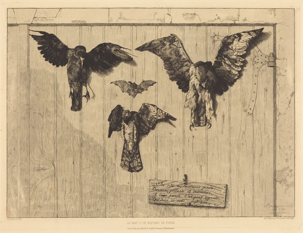 Le Haut d'un battant de porte (Birds Nailed to a Barn Door) by Félix Bracquemond; Eugène Delâtre, print, 1852