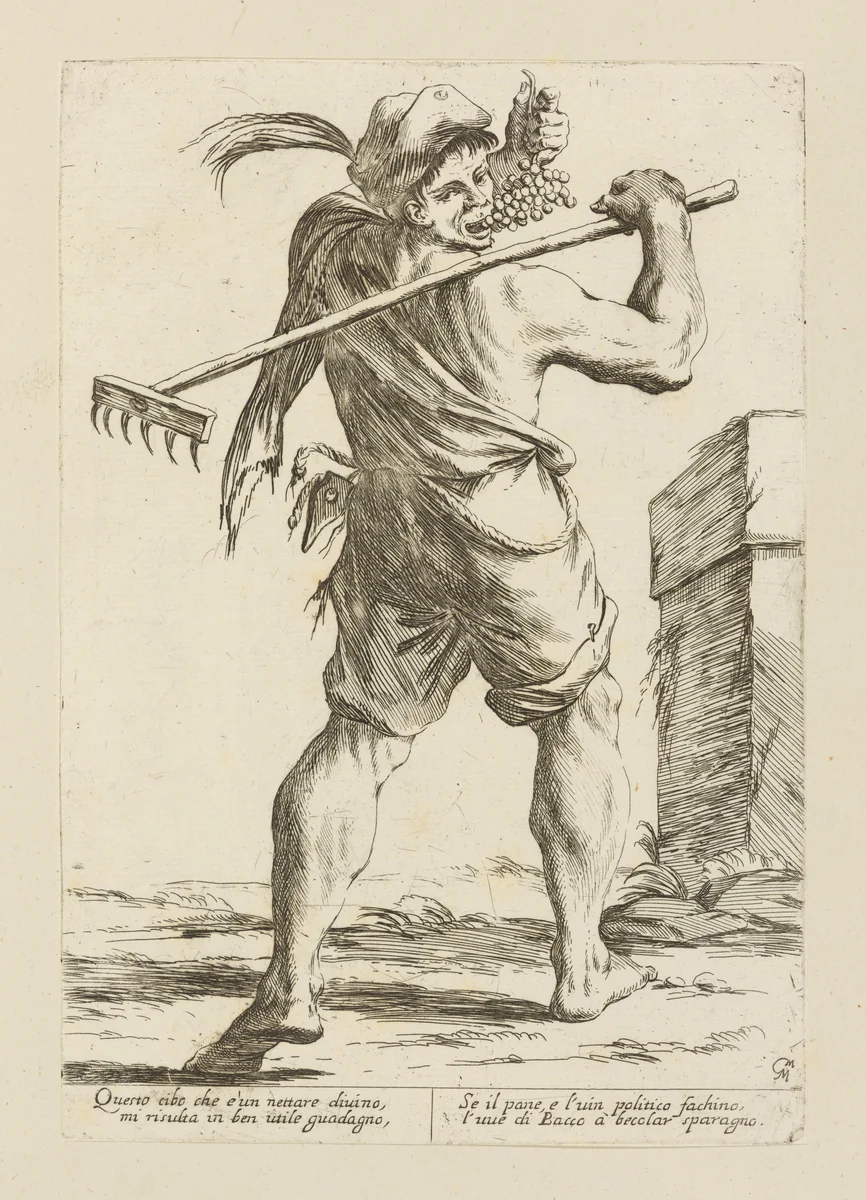 Vine Dresser, from Di Bologna l'Arti per via D'An.ibal' Ca.rac, plate 8 by Giuseppe Maria Mitelli, print, 1660