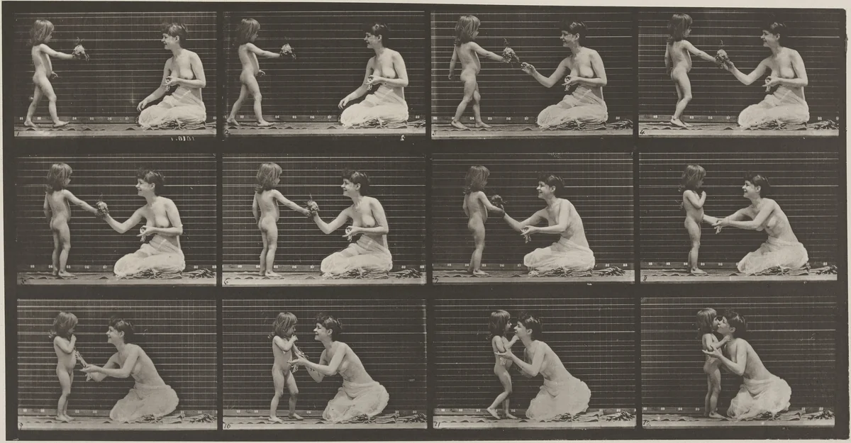 Plate Number 465. Child bringing a bouquet to a woman by Eadweard Muybridge, photograph, 1887