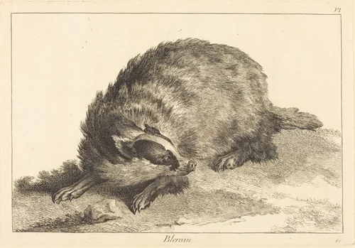 Blereau (Badger) by Jacques-Philippe Le Bas
Jean Eric Rehn
Jean-Baptiste Oudry, print, 1707-1783