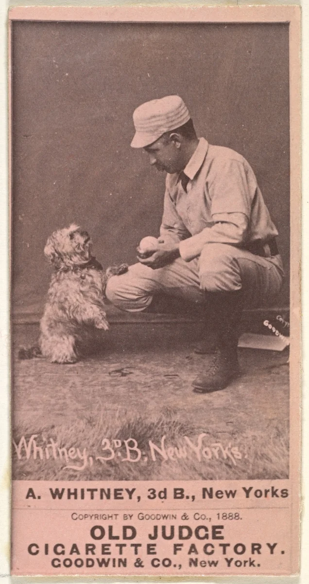 Arthur "Art" Wilson Whitney, 3rd Base, New York, from the Old Judge series (N172) for Old Judge Cigarettes by Goodwin & Company, photograph, 1888
