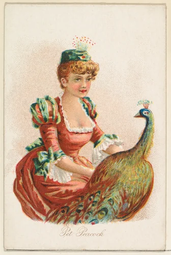 Pet Peacock, from the Household Pets series (N194) issued by Wm. S. Kimball & Co. by William S. Kimball & Company, print, 1891