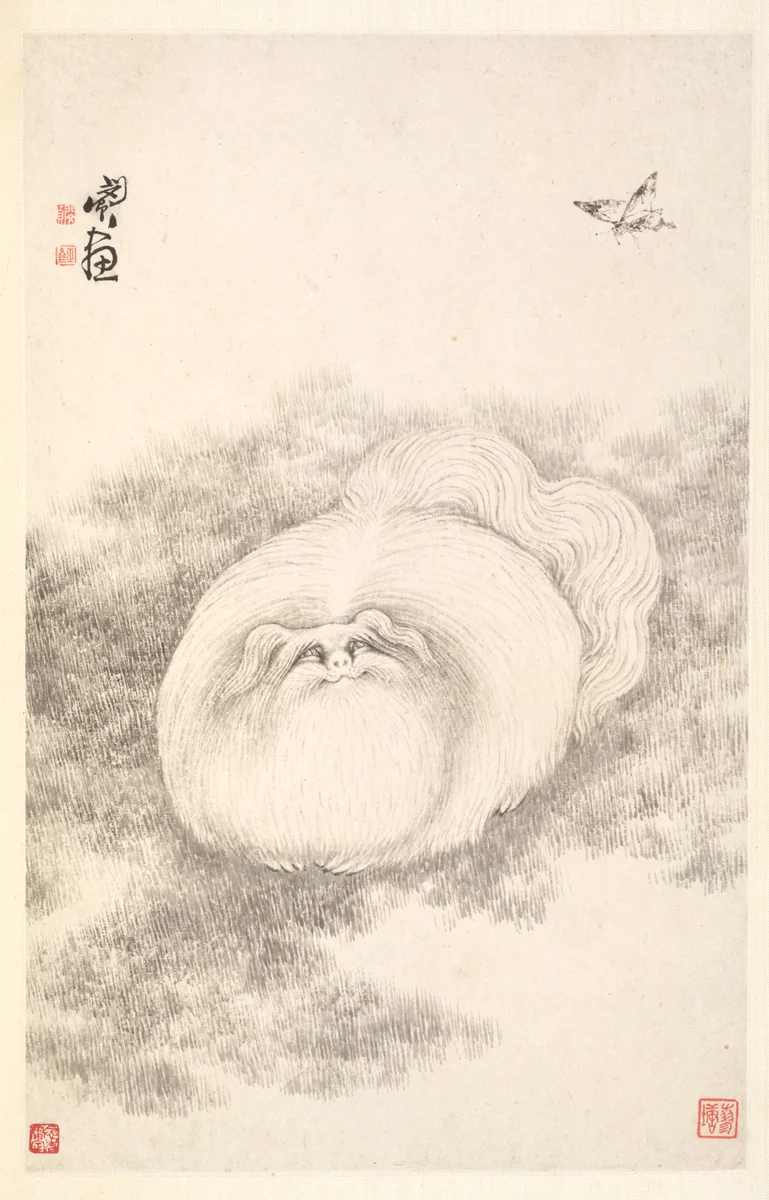 Cat and Butterfly by Min Zhen, painting, 1788