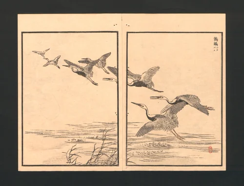 Bairei Picture Album of One Hundred Birds (Bairei hyakuchō gafu) 楳嶺百鳥畫譜 by Kōno Bairei (幸野楳嶺), book, 1881-1884