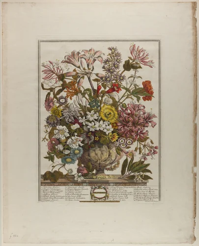 October, from Twelve Months of Flowers by Henry Fletcher
Peter Casteels III, print, 1730-1750