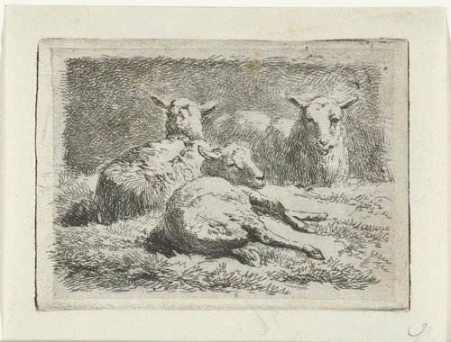 Drie liggende schapen by Simon van den Berg, print, 1822-1899