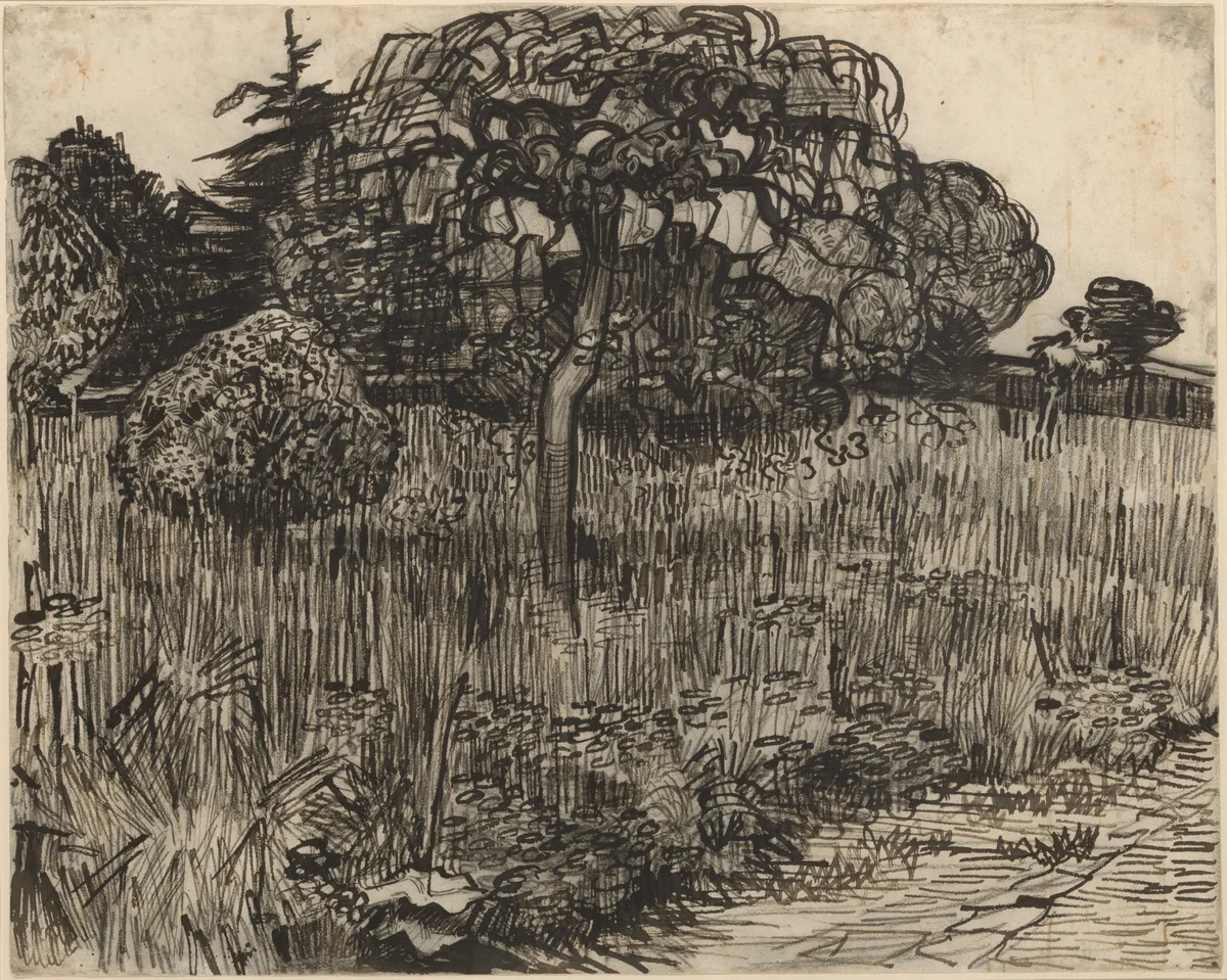 Weeping Tree by Vincent van Gogh, drawing, 1889