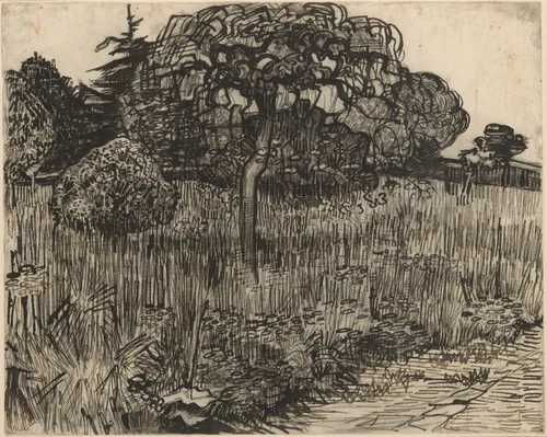 Weeping Tree by Vincent van Gogh, drawing, 1889