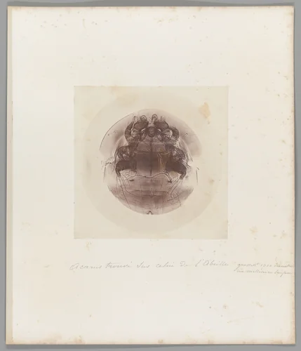 [Untitled] by Auguste-Adolphe Bertsch, photograph, 1853-1857