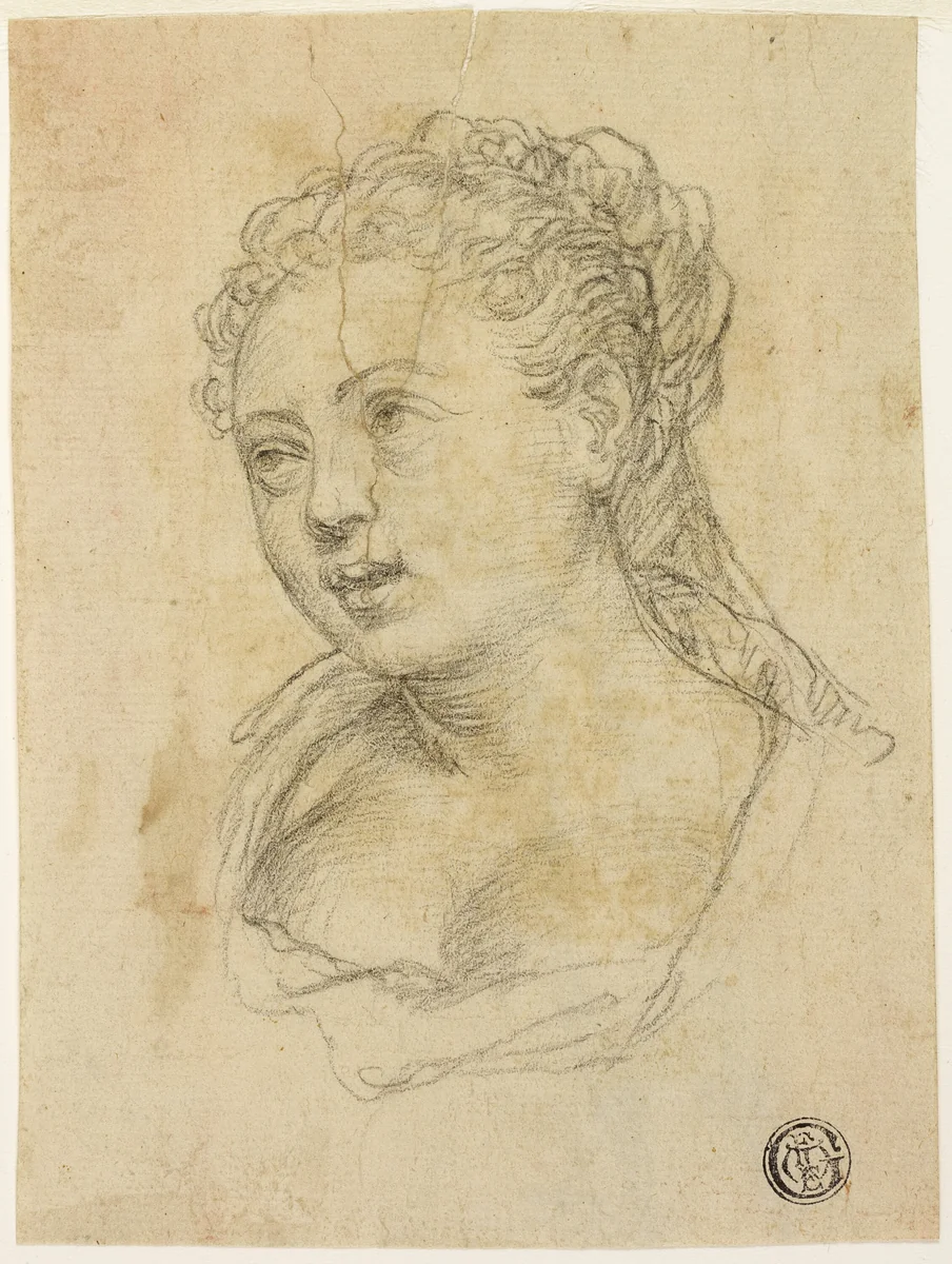 Woman's Head (recto); Sketch of Arm and Hand (verso) by Paolo Veronese, drawing, 1590-1596