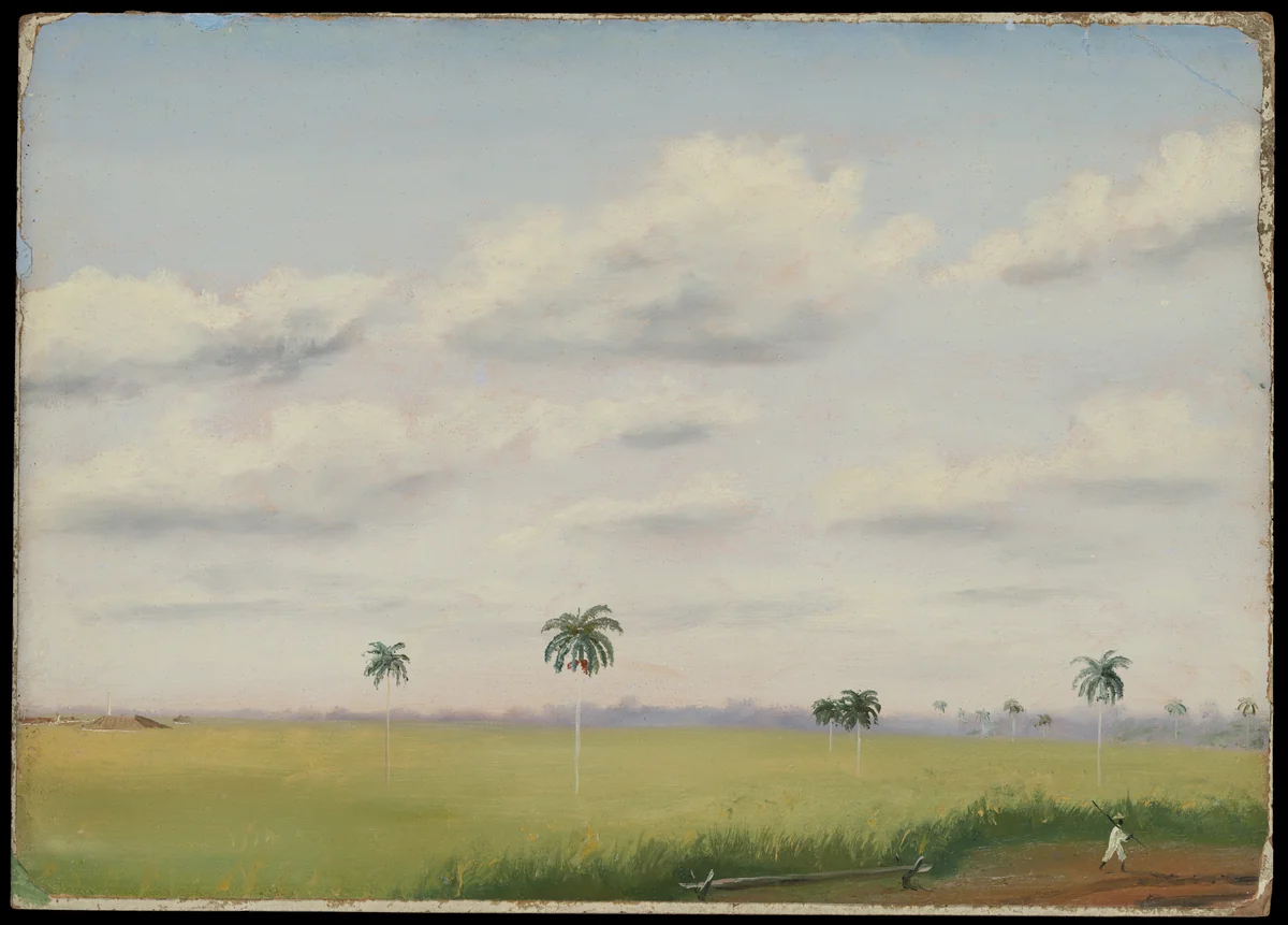 Ingenio, San Martín, Cuba by Charles Dewolf Brownell, artwork, 1853-1866