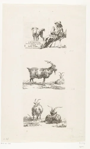 Zittende herder met zijn hond en geiten by anonymous, print, 1648-1733