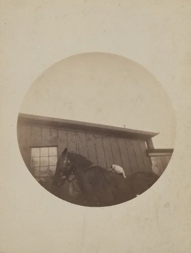 Untitled by Unidentified Photographer, photograph, 1900