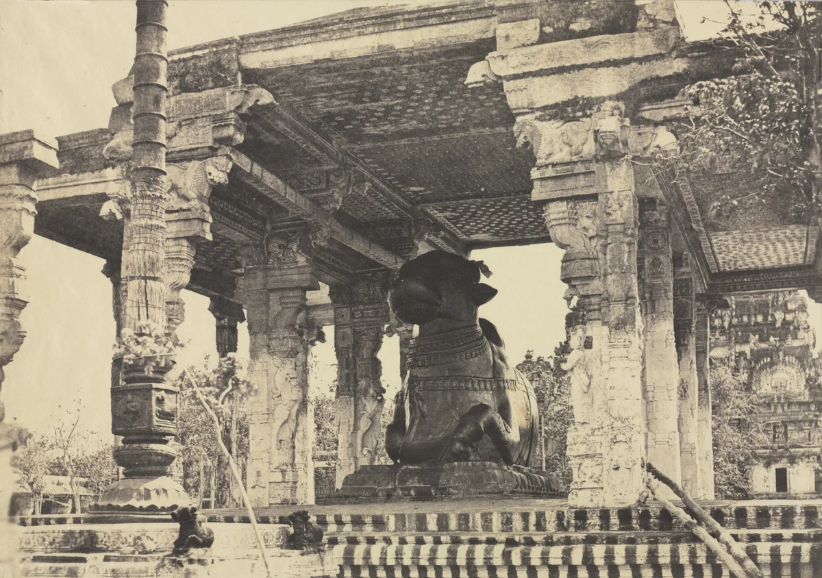 Great Pagoda, Great Bull, Front View, Tanjore, India (Rajarajeshvara Temple), plate 12 from Photographic Views of Tanjore and Trivady (Madras: Madras Presidency) by Captain Linnaeus Tripe, photograph, 1857