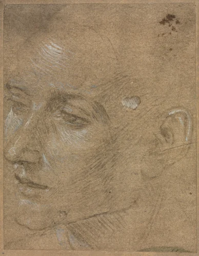 Head of a Young Man by Filippino Lippi, drawing, 1457-1504