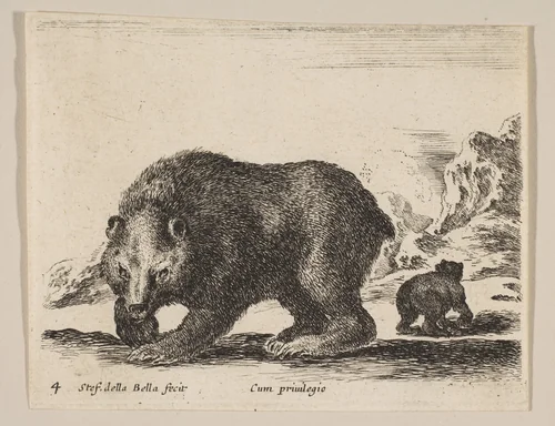 Plate 4: Bear, from "Various animals" (Diversi animali) by Stefano della Bella, print, 1636-1646