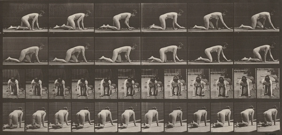 Plate Number 182. Crawling on hands and knees by Eadweard Muybridge, photograph, 1887