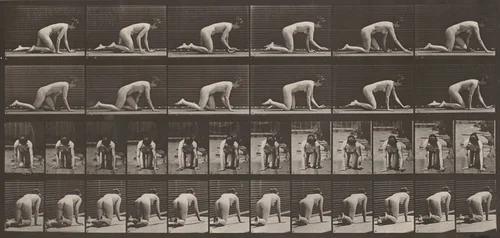 Plate Number 182. Crawling on hands and knees by Eadweard Muybridge, photograph, 1887