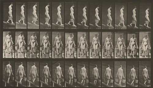 Plate Number 121. Descending an incline with a bucket of water in each hand by Eadweard Muybridge, photograph, 1887