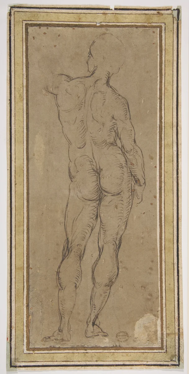 Male Figure Seen from Rear, after a drawing by Michelangelo by Raphael, drawing, 1508-1600