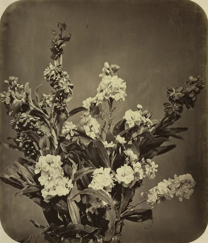 Bouquet by Adolphe Braun, photograph, 1850-1860