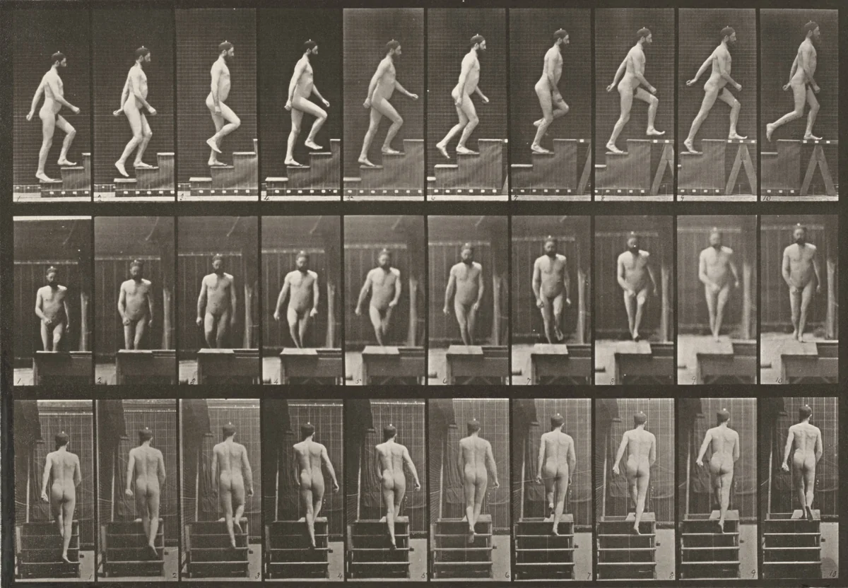 Plate Number 90. Ascending stairs by Eadweard Muybridge, photograph, 1887