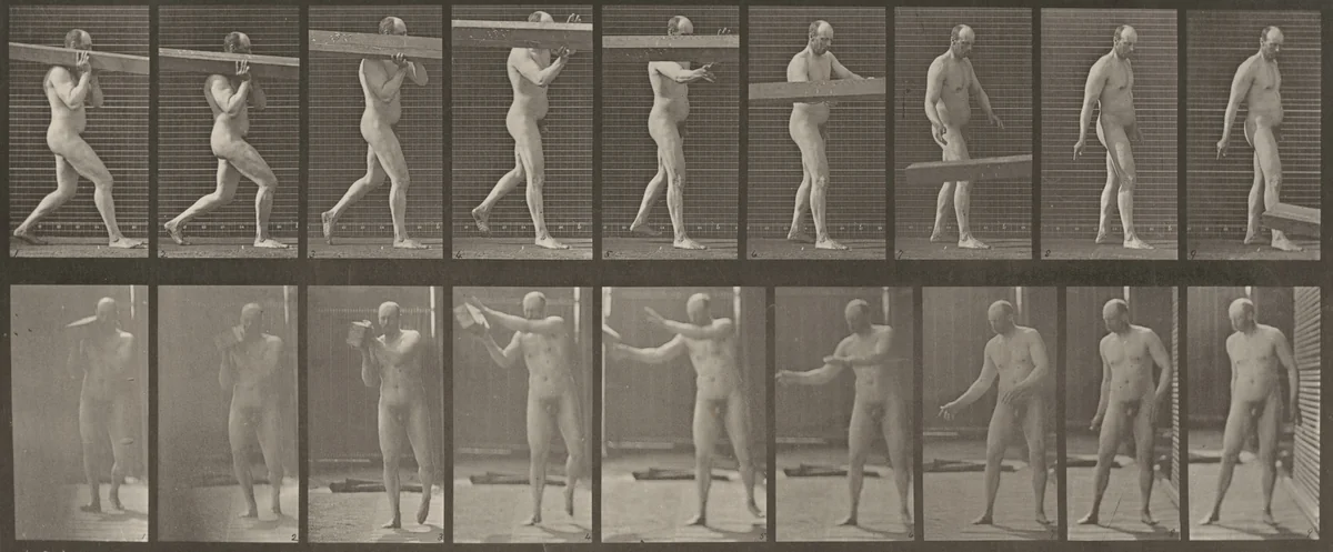 Plate Number 384. Heaving a log from shoulder by Eadweard Muybridge, photograph, 1887