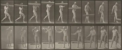 Plate Number 384. Heaving a log from shoulder by Eadweard Muybridge, photograph, 1887