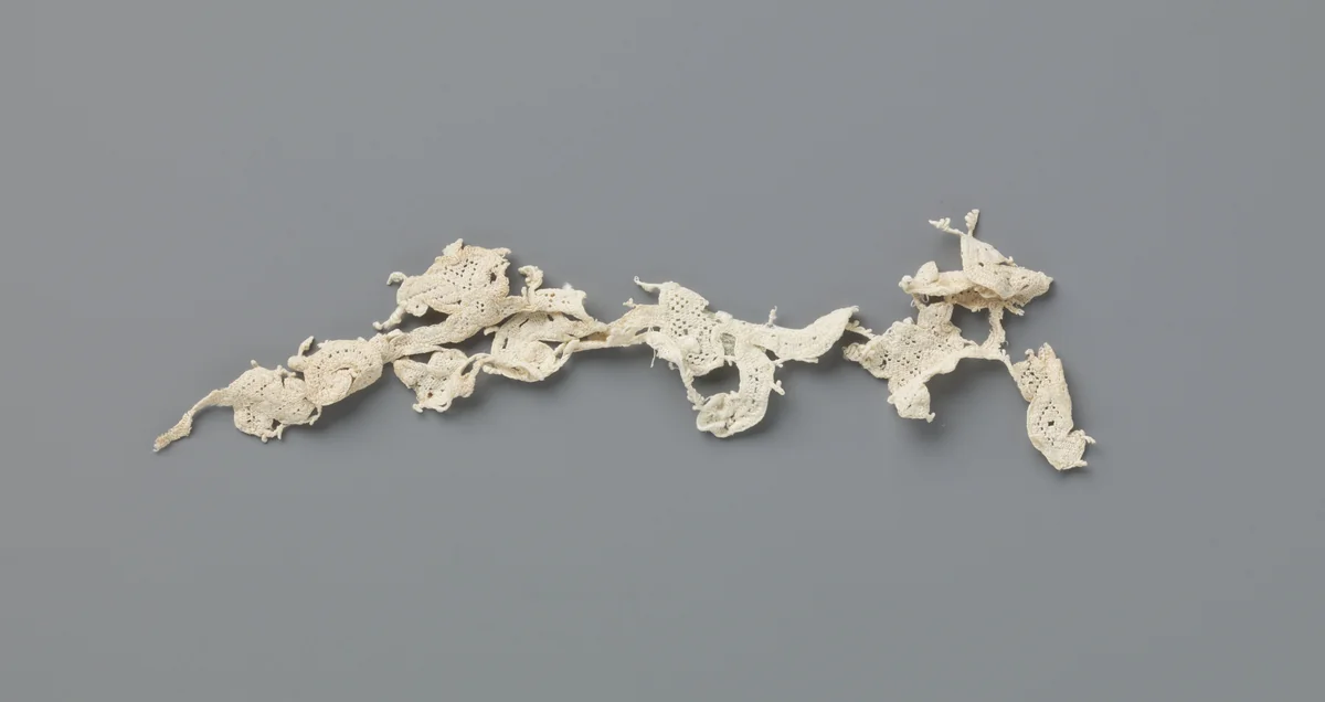 Fragment van een strook naaldkant met krullende ranken en veelsoortige bloemen by anonymous, other, 1700