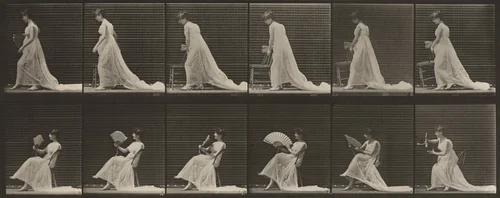 Plate Number 242. Placing chair, sitting and flirting a fan by Eadweard Muybridge, photograph, 1887