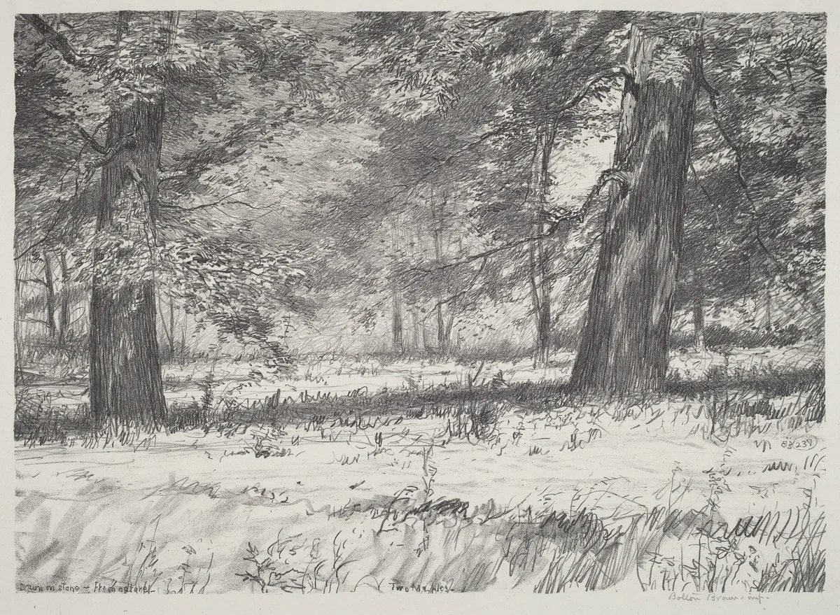 Two Maples by Bolton Brown, print, 1920