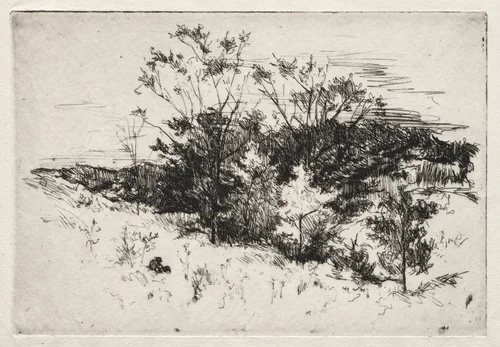 Autumn Landscape by John Henry Twachtman, print, 1879-1880