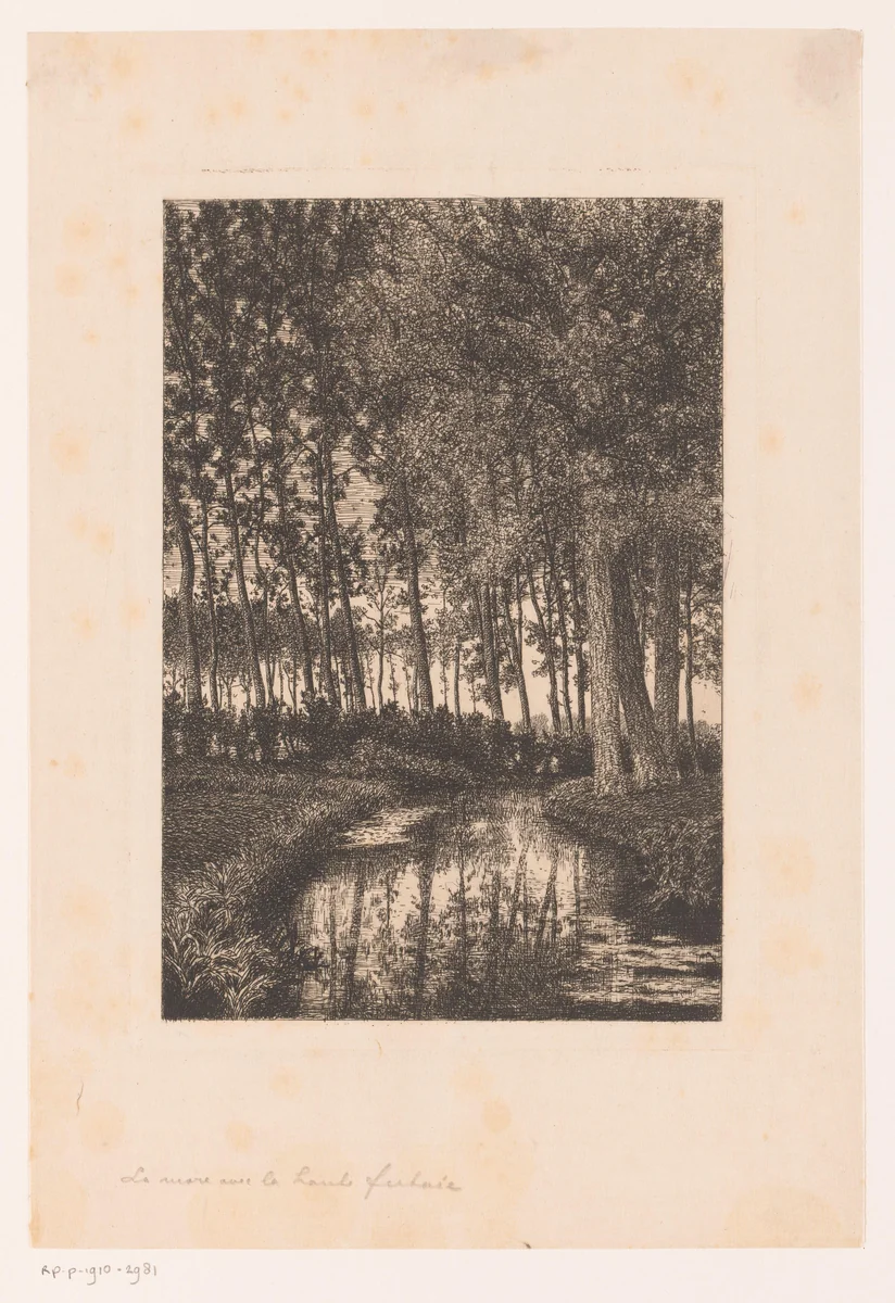 Hoge bomen aan het water by Alfred Elsen, print, 1860-1910