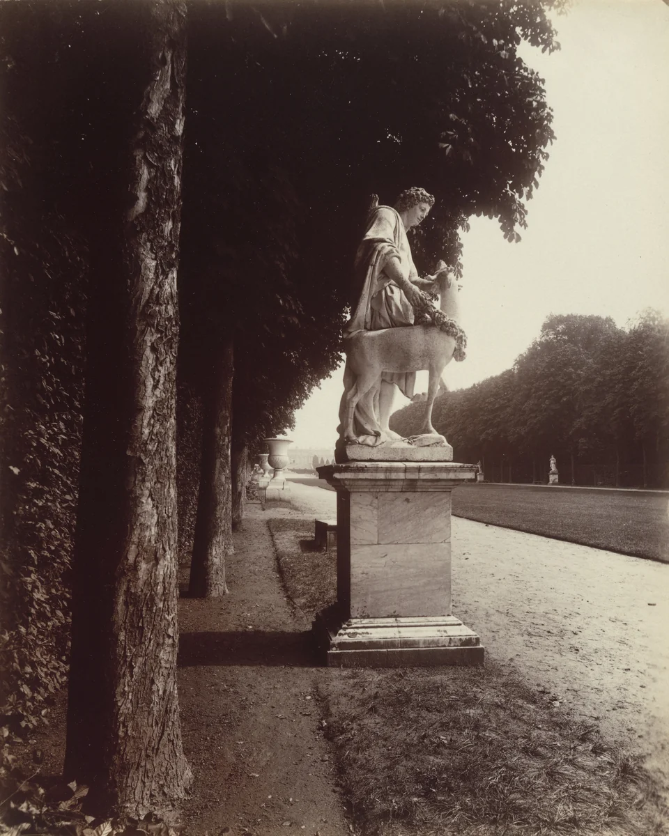 Versailles, Cyparisse par Flamen by Eugène Atget, photograph, 1902