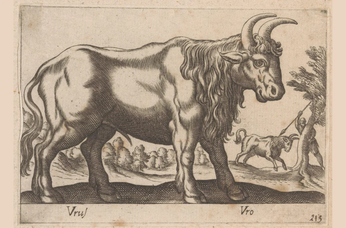 Stier by Antonio Tempesta, print, 1565-1630