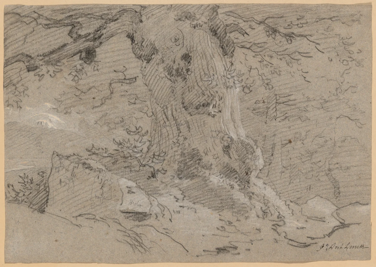 Study of Old Tree Trunk by Jean Antoine Linck, drawing