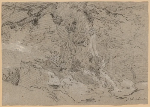 Study of Old Tree Trunk by Jean Antoine Linck, drawing