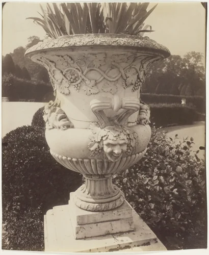Versailles, Vase by Jean-Eugène-Auguste Atget, photograph, 1905