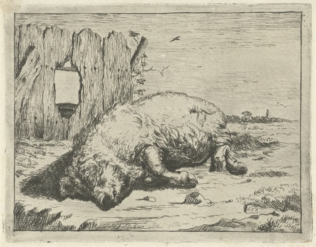 Liggend varken by Marcus de Bye, print, 1657