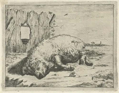 Liggend varken by Marcus de Bye, print, 1657