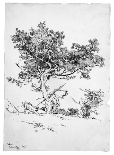 Cedars, Bellport, Long Island by Andrew Fisher Bunner, artwork, 1880
