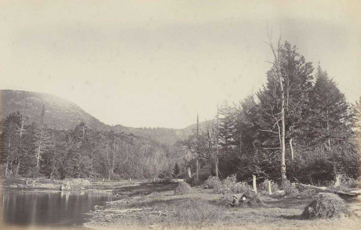 Hay Meadow, E.T. by Alexander Henderson, photograph, 1865