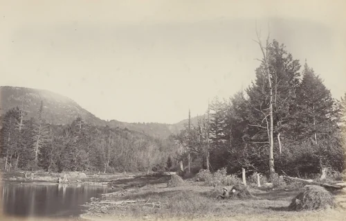 Hay Meadow, E.T. by Alexander Henderson, photograph, 1865