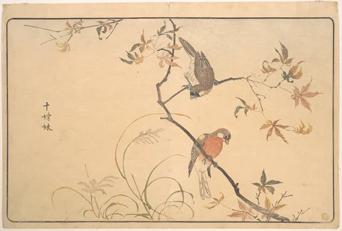 Jūshimatsu (Begalee or a society finch) by Kuwagata Keisai (鍬形蕙斎), print, 1789