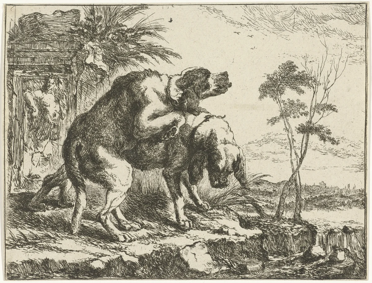 Twee parende honden by Joannes Fijt, print, 1642-1667