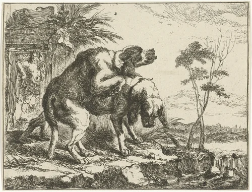Twee parende honden by Joannes Fijt, print, 1642-1667