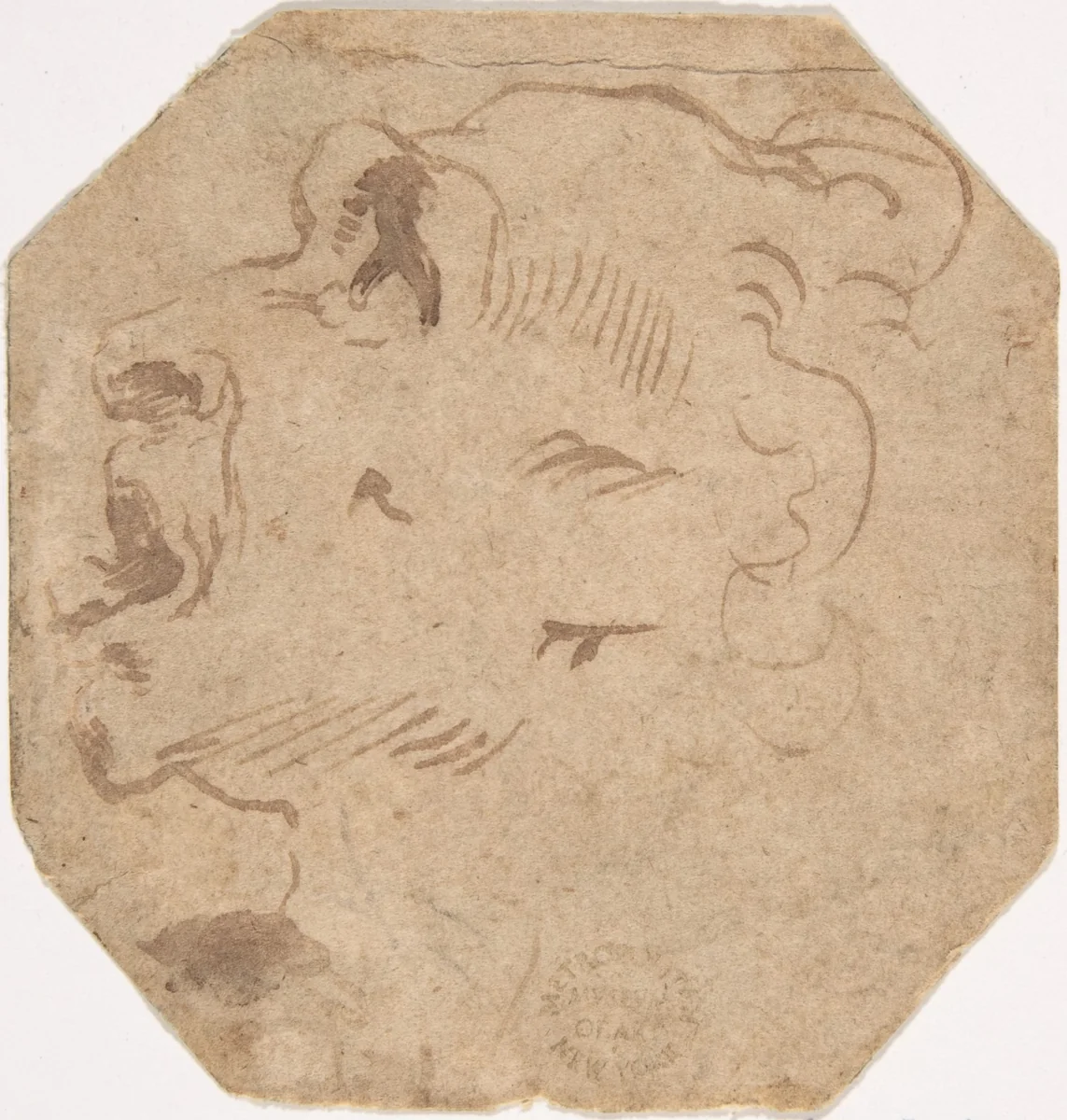 Head of a Man in Profile by anonymous, drawing, 1500-1600